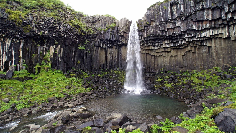 blurred motion, waterfall, day, Iceland, plant, power in nature, splashing, nature, landscape, land, tree, rock - object, outdoors, long exposure, motion
