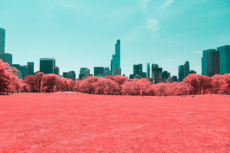 New York City, 4K, Manhattan, Infrared, 4K, Central Park