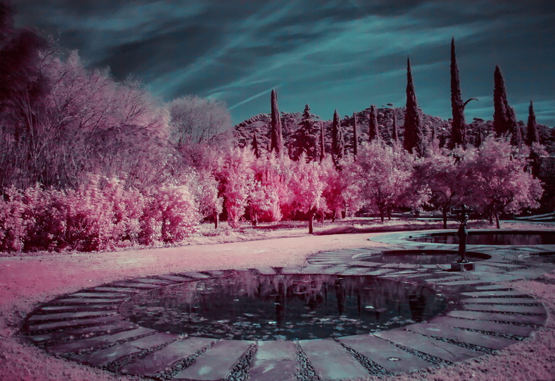 tranquil scene, park, plant, cloud - sky, landscape, tranquility, growth, pink color, infrared, round, forest, garden, night, tree, nature, environment