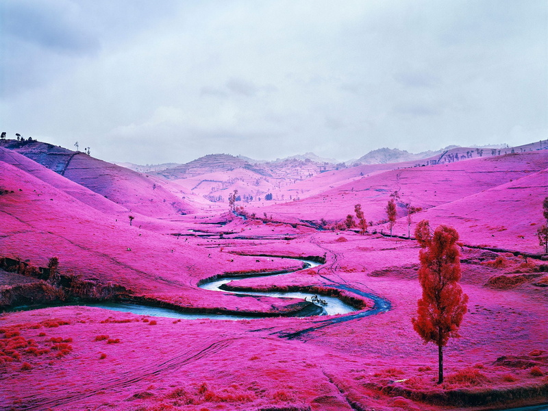 pink, trees, infrared, landscape, nature, hill, valley, water, 1080P, field, river