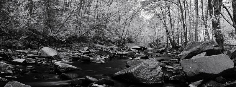 lake, solid, plant, pohickcreek, 5K, Virginia, grayscale, rock - object, tranquility, nature, tree, white, microsoftice, rock, non-urban scene, tranquil scene