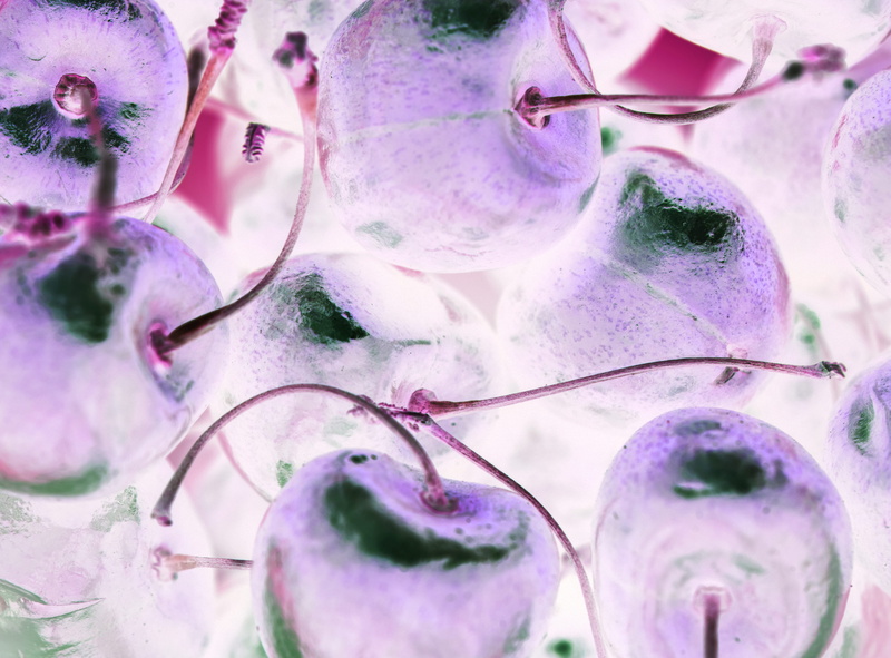 food, textured, season, beauty In Nature, eat, organic, backgrounds, flower Head, ripe, infrared, 4K, plant, healthy, flower, cherry, vitamin, close-up