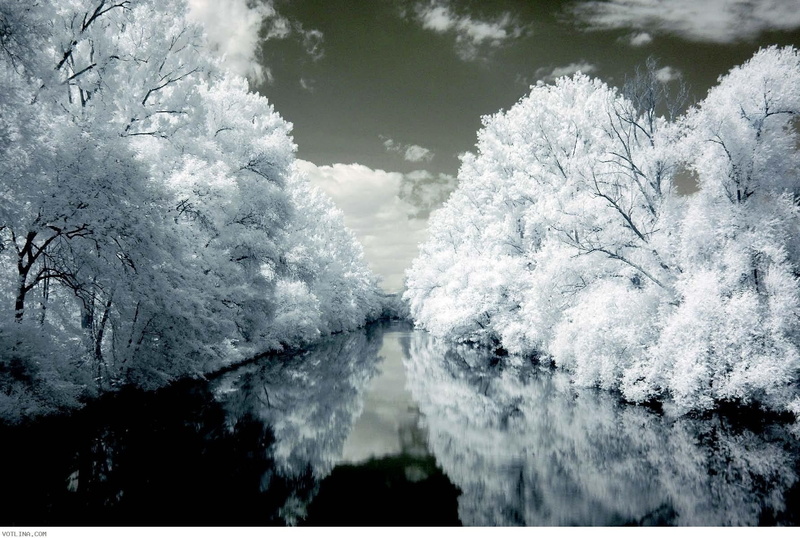 720P, nature, Infrared