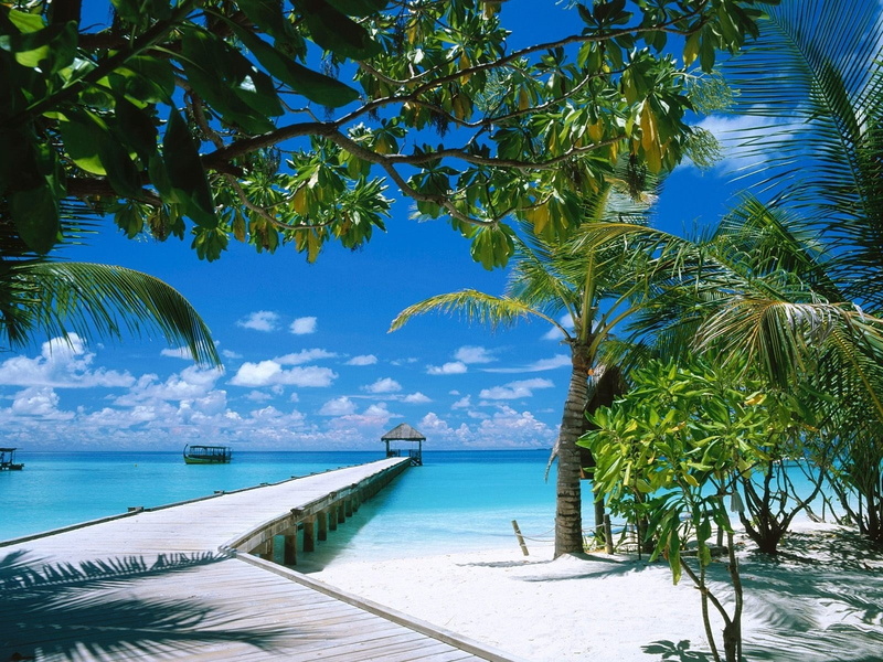 Dock, side, trees, 720P, Beach, footbridge