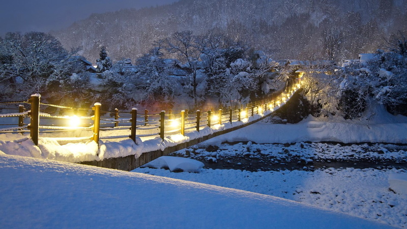 trees, 1080P, night, river, nature and landscapes, winter, footbridge, awesome, lights, bridge