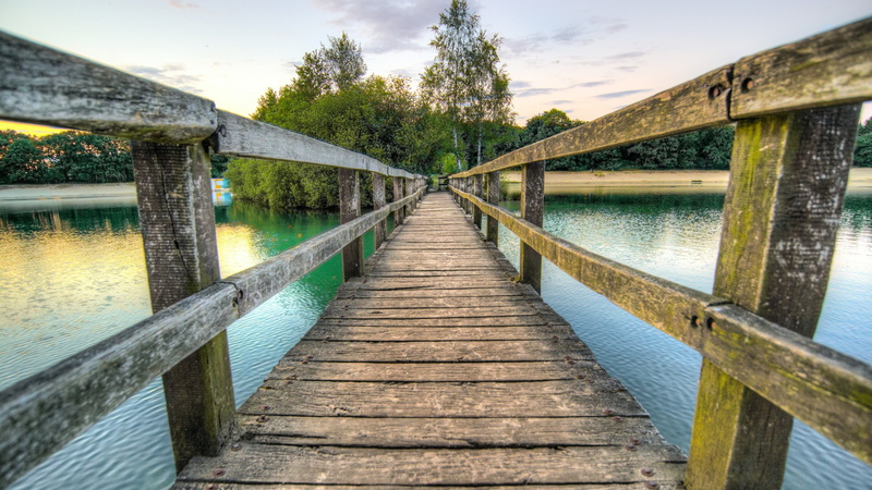 plant, wooden bridge, wood, bridge, footbridge, walkway, river, sky, wooden, timber bridge, pier, tree, water, boardwalk, 4K, lake