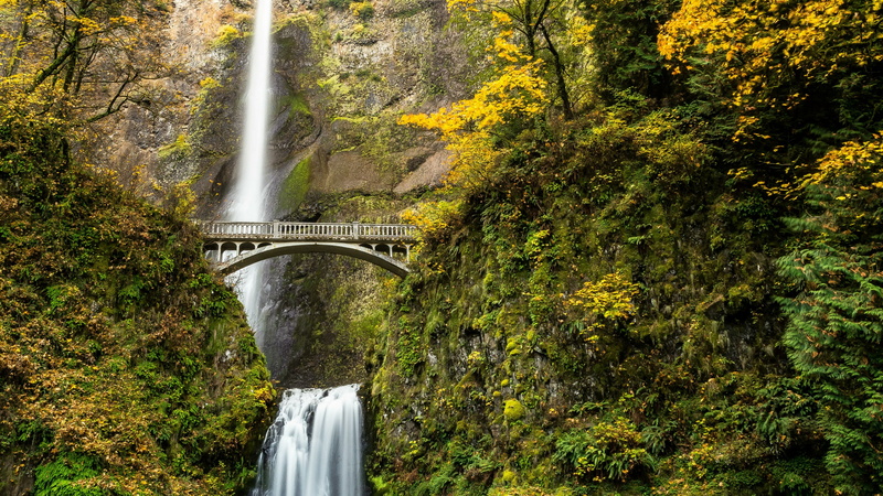 architecture, arch bridge, scenics - nature, connection, no people, bridge, growth, day, oregon, built structure, outdoors, long exposure, flowing water
