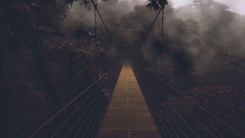 built structure, suspension Bridge, plant, transportation, dark, fog, nature, diminishing perspective, cloud - Sky, tree, forest, sky, tranquility, vanishing point