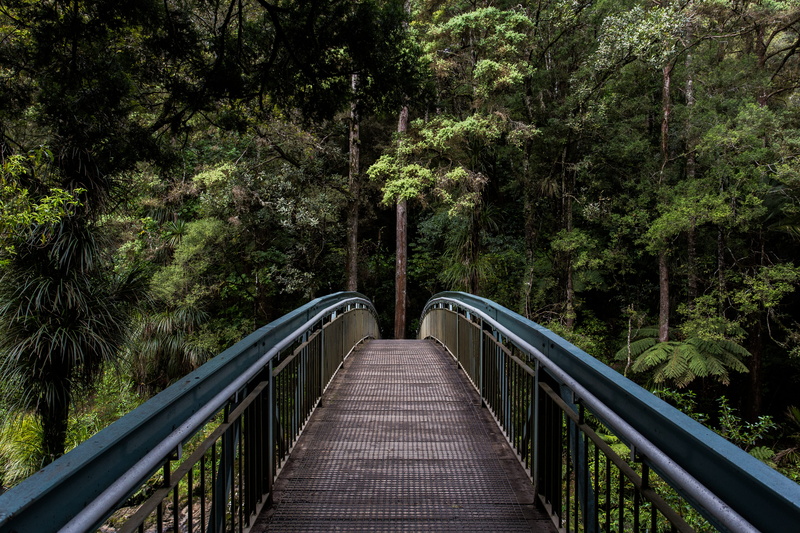 tall, no People, forest, built structure, growth, wood - Material, outdoor, blue, 5K, landscape, footpath, metal bridge, bridge - Man Made Structure, tree