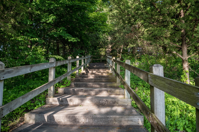 5K, bridge - Man Made Structure, Steps, boardwalk, scenics, " photo", illinois, forest, connection, woodland, railing, green Color, the way forward, summer