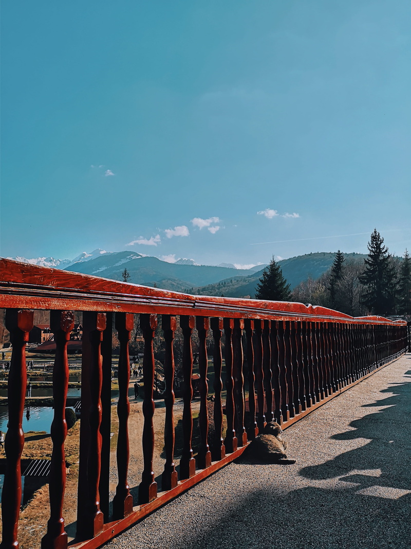 colors, trees, environment, water, daylight, mountain, transportation, security, wooden, side by side, brown, blue, sky, built structure, landscape, cloud - sky