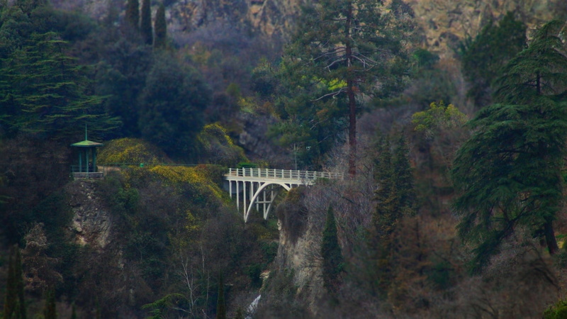 land, trees, photography, rail transportation, 1080P, arch bridge, nature, forest, tree, landscape, built structure, architecture, scenics - nature, connection