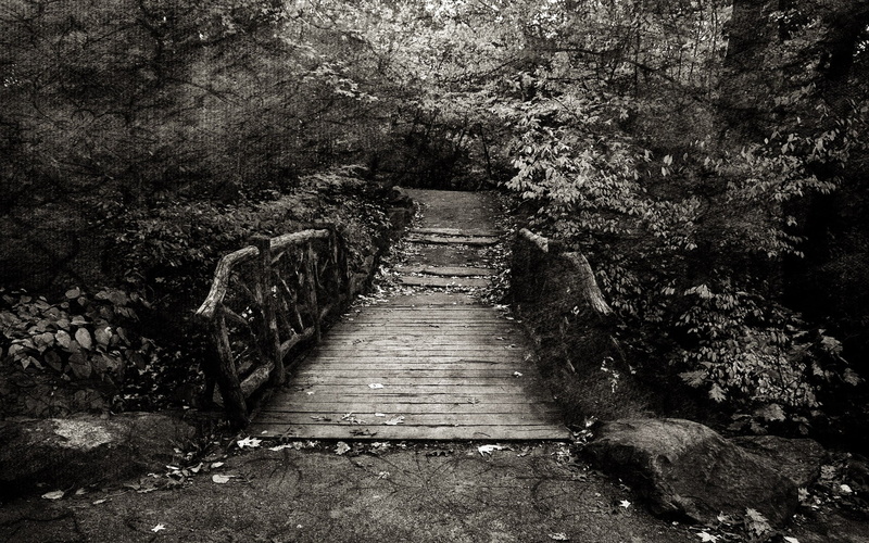 diminishing perspective, no people, architecture, nature, trees, tranquility, grayscale, tree, 1080P, the way forward, wooden surface, footpath, day, photo manipulation