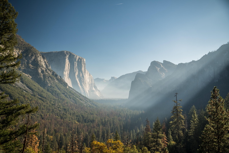 coniferous tree, mountain peak, plant, mountain range, tranquility, 4K, trees, beauty in nature, idyllic, Yosemite National Park, tranquil scene, tree