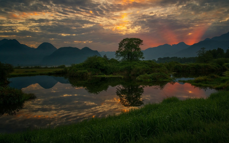 sun rays, beauty in nature, scenics - nature, 720P, no people, green, trees, water, sky, shrubs, tree, reflection, cloud - sky, plant, sunset, nature