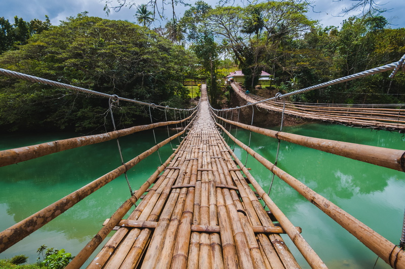 4K, direction, footbridge, day, forest, nature, no people, bridge - man made structure, philippines, bamboo, plant, diminishing perspective, wood - material