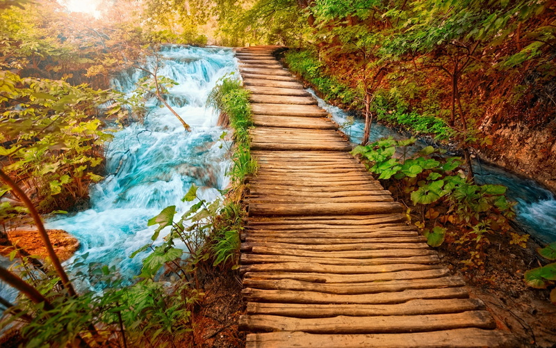 water, stream - flowing water, beauty in nature, 2K, wooden, high angle view, the way forward, day, brown, nature, wood, outdoors, footbridge, tree, dock