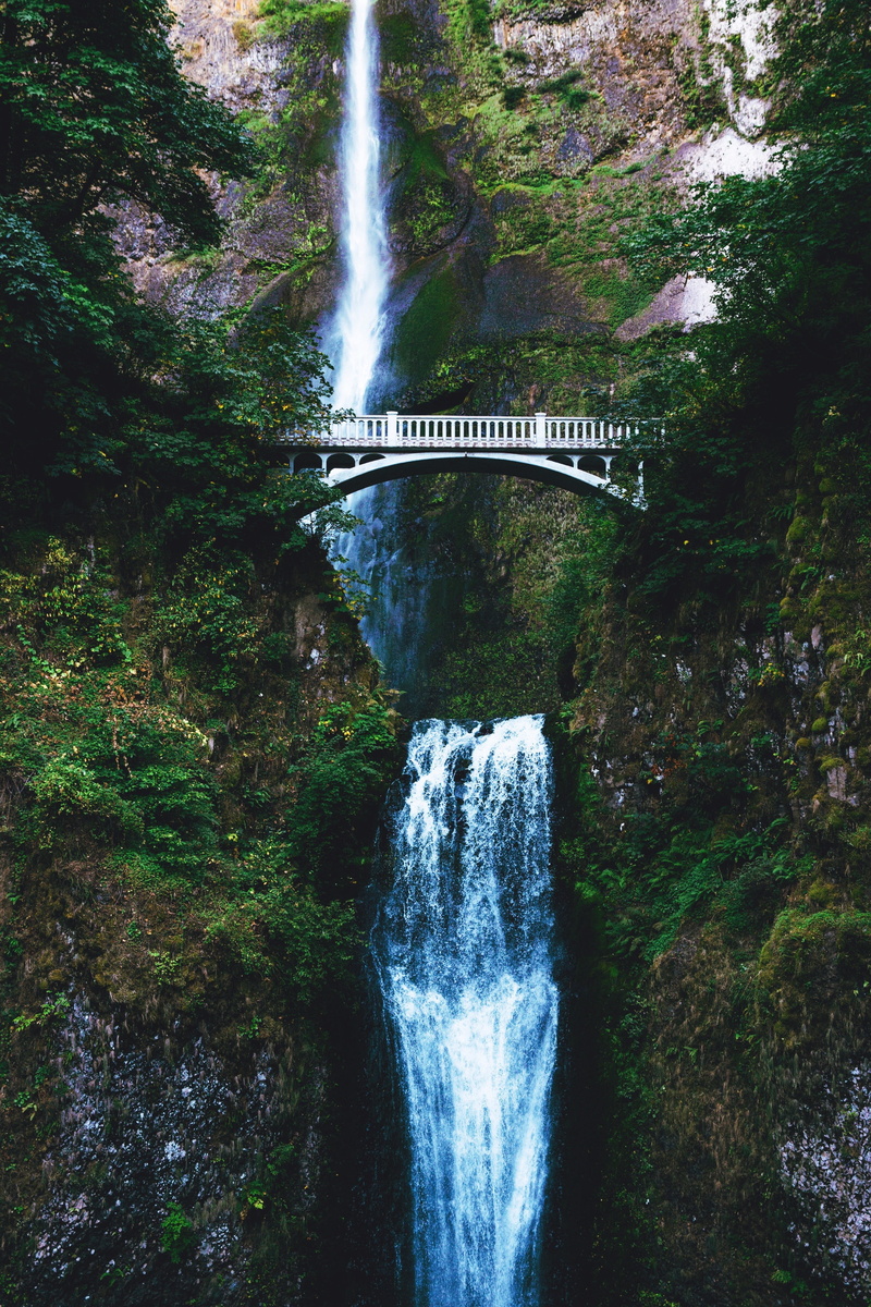 wooden, plant, arch bridge, 4K, no people, flowing, architecture, footbridge, rock, beauty in nature, rock - object, nature, long exposure, waterfall