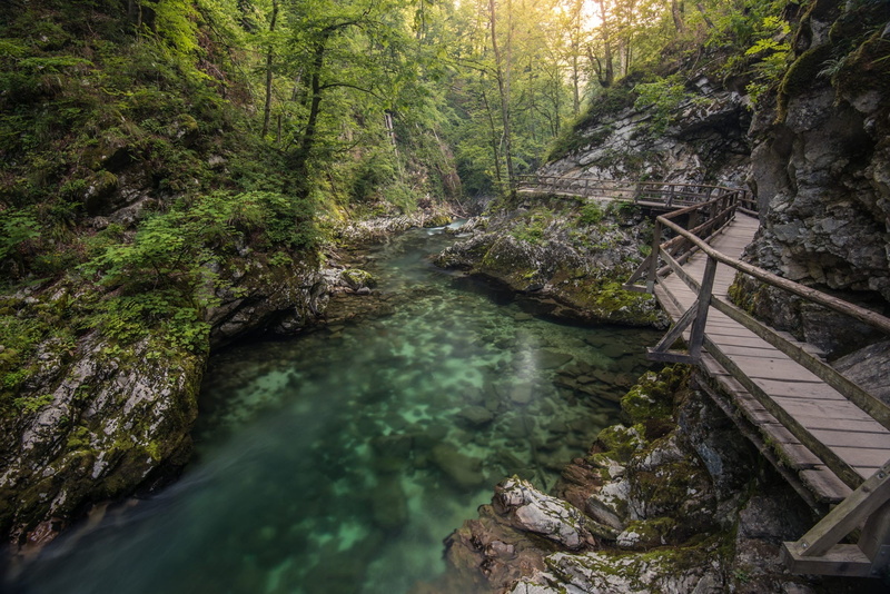 plant, stream - flowing water, 1080P, gray, tranquil scene, river, scenics - nature, rock, footbridge, connection, tranquility, bridge, bridge - man made structure