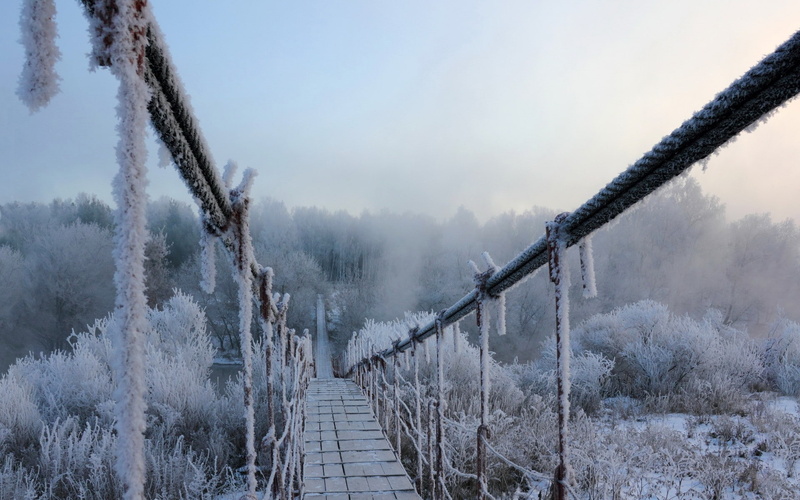 frozen, winter, day, footbridge, tranquil scene, tree, fog, 1080P, railing, snow, beauty in nature, no people, scenics - nature, cold temperature, bridge
