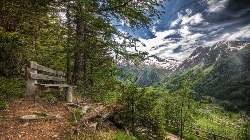 no people, growth, outdoors, forest, mountains, snowy peak, land, day, wood - material, gray, cloud - sky, tranquility, summer, environment, village, Alps