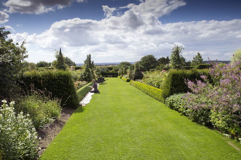 leisure activity, park - man made space, green color, tree, grass, clouds, beauty in nature, nature, outdoors, garden, ornamental garden, flowering plant