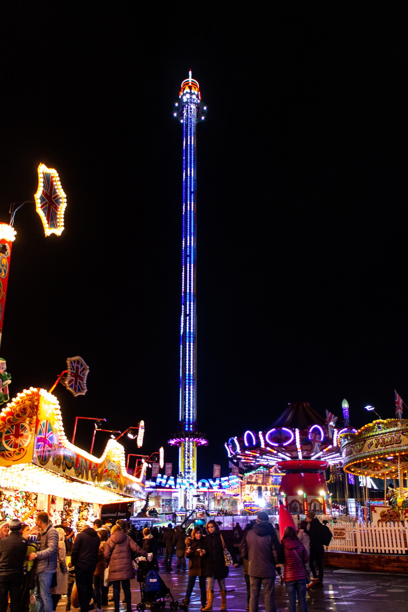 circus, nature, real people, amusement park ride, night, women, nightlife, group of people, building exterior, amusement park, built structure, city, lights