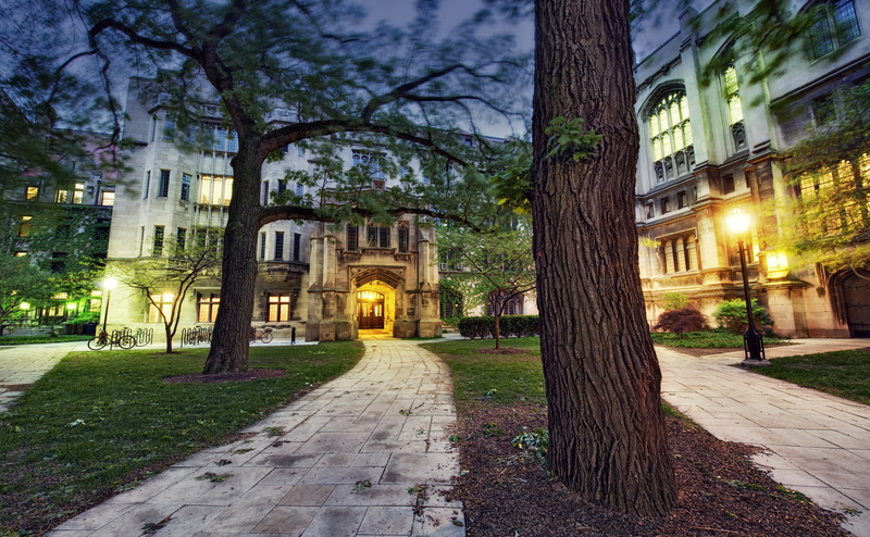 concrete, Illinois, direction, no people, gray, Photography, tree trunk, The University Of Chicago, building exterior, trunk, study, social sciences quad