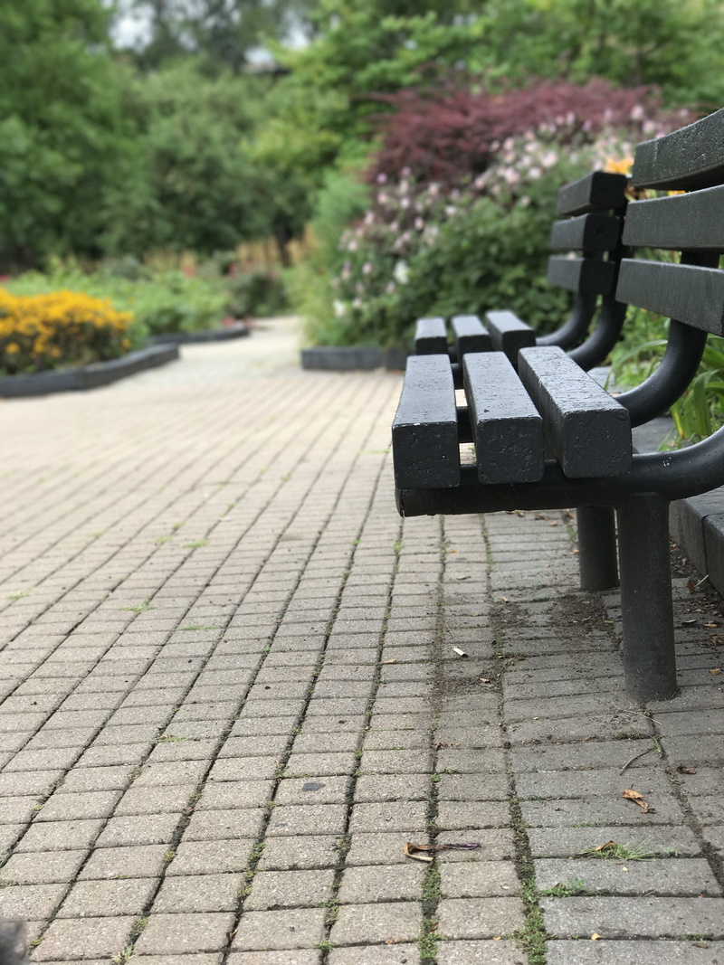 footpath, park bench, close-up, no people, plant, outdoors, stone, tree, seat, empty, paving stone, day, park - man made space, direction, bench, the way forward
