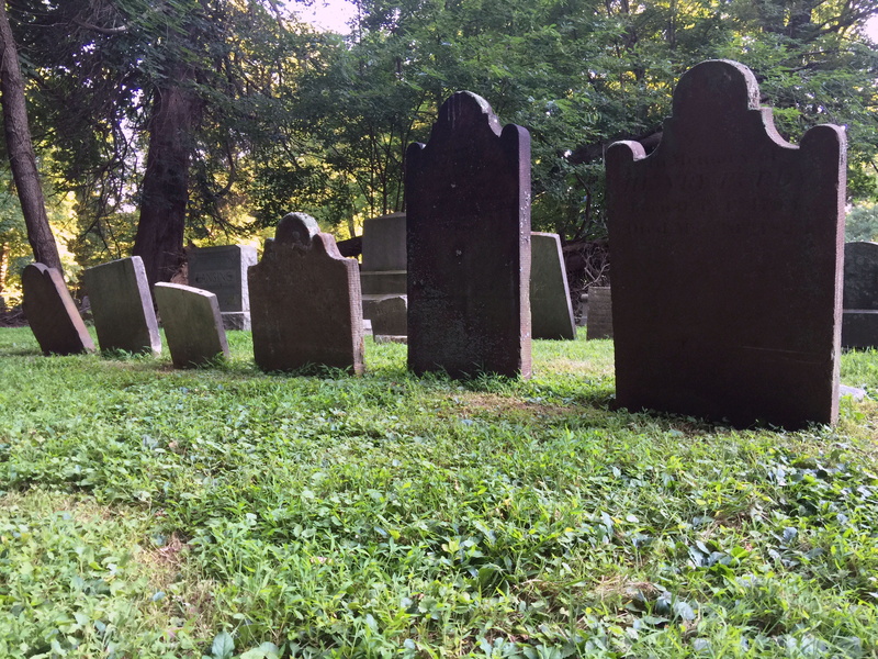 no people, plant, religion, stone material, memorial, day, grave, solid, spirituality, greenwich, nature, tombstone, grass, united states, tombstones, stone