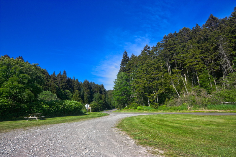 trees, summer, composite, photograph, blue, wide  angle, 720P, white, path, wide-angle, road, grass, nature, nb, landscape, resource, new  brunswick, pine