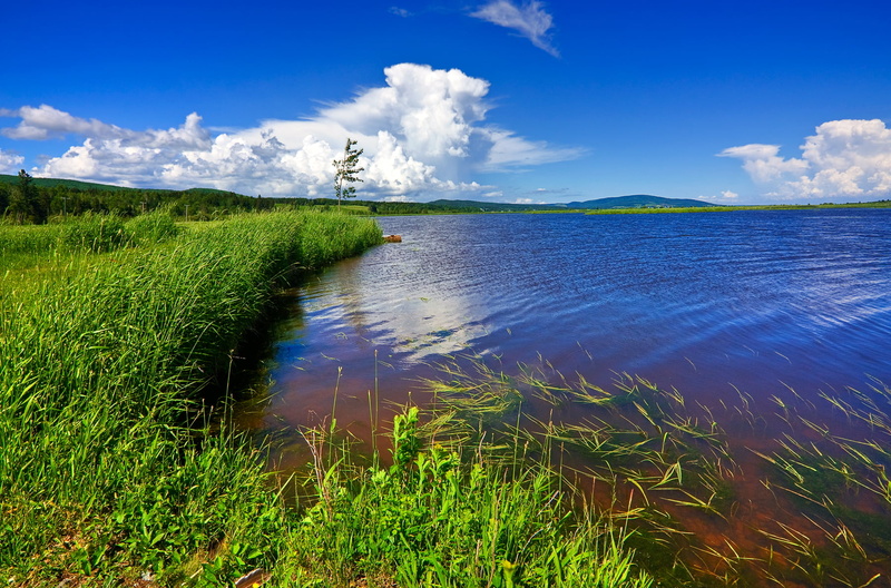 maroon, blue, composite, landscape, sky, brown  blue, grass, cloud, nb, 720P, grasses, photograph, body of water, new  brunswick, scenic, green, body
