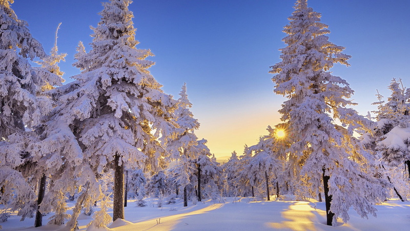 non-urban scene, water, travel, reflection, outdoors, covering, beauty in nature, winter, forest, river, environment, horizon, countryside, snow, sunny