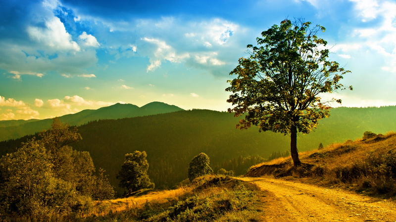 landscape, sunset, agriculture, sunny, country, tranquil scene, horizon, scenic, land, rural, beauty in nature, environment, scenery, panoramic, tree, woodland