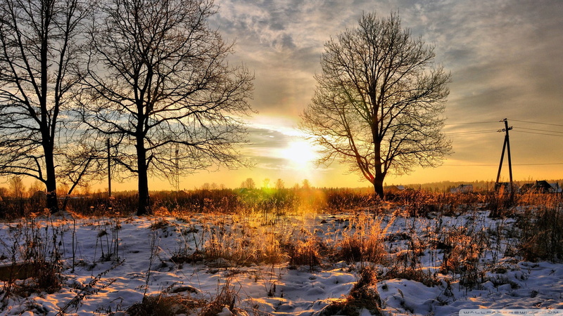 snow, summer, meadow, tree, scenic, cloud - sky, sunset, non-urban scene, spring, reflection, forest, natural, tranquility, winter, horizon, autumn, light