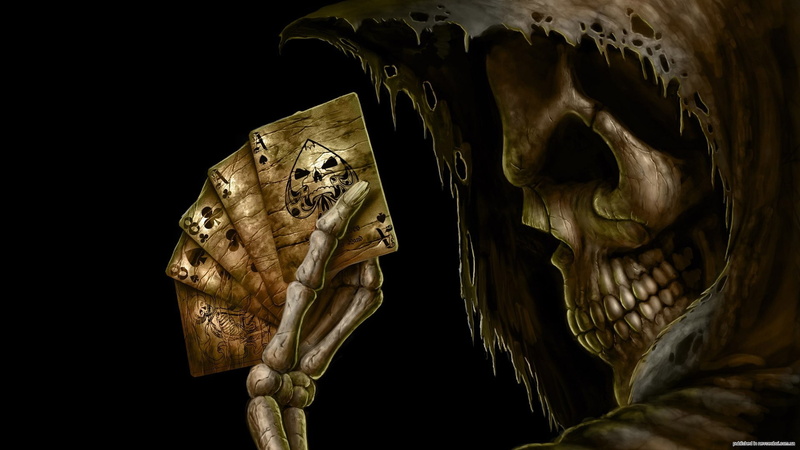 animals in the wild, indoors, no people, animal shell, Grim Reaper, cards, one animal, studio shot, turtle, invertebrate, close-up, animal themes, nature