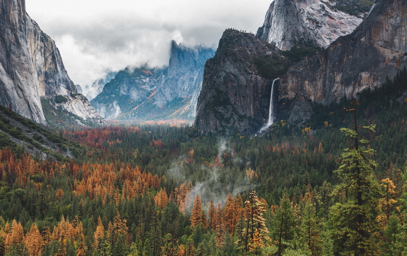 5K, Yosemite Valley, nature, landscape, waterfalls, day, mountain, idyllic, tranquil scene, tranquility, no people, garden, daytime, coniferous tree, beauty in nature