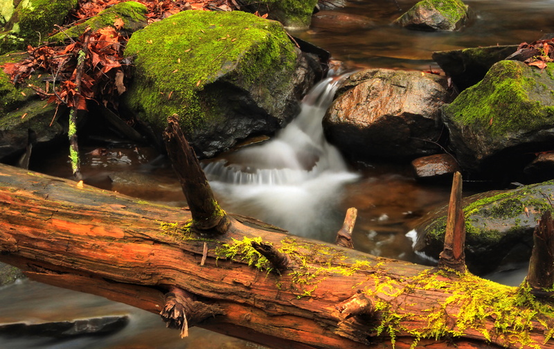 rock, formation, leaf, Pennsylvania, Creek, river, landscape, stream, scenics, photography, Slateford, brown, waterfall, nature, outdoors, creative commons