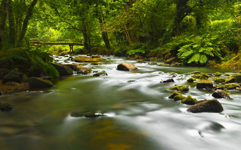 water, filé, Quimper, été, vallon, beauty In Nature, gorges, green Color, river, outdoors, tree, nuit, de, rock, waterfall, woodland, verdure, leaf, forêt