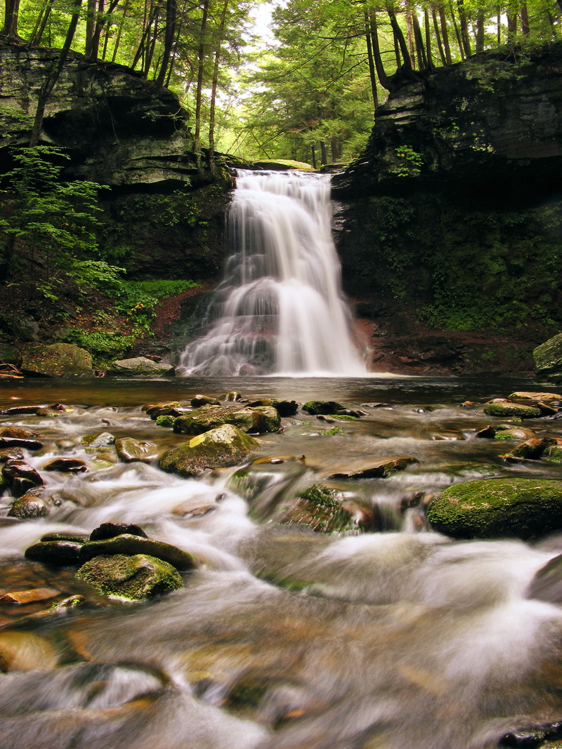 creek, daytime, State Game Lands, creative commons, low angle, outdoors, SGL, low, forest, flowing Water, ravine, freshness, stream, water, 2K, Allegheny Plateau