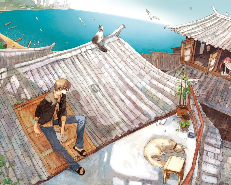 720P, animal wildlife, real people, seagull, fishing industry, outdoors, nautical vessel, anime, one person, Chinese architecture, vertebrate, high angle view