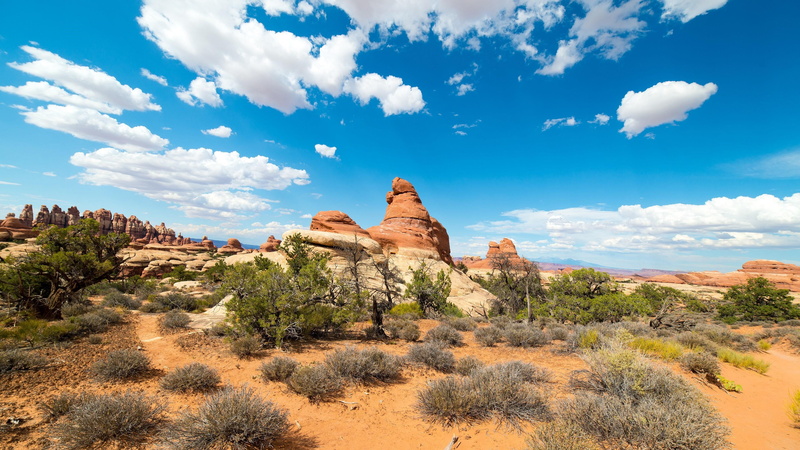 tree, climate, eroded, arid climate, solid, 4K, plant, tranquility, travel destinations, rock, travel, environment, physical geography, tranquil scene