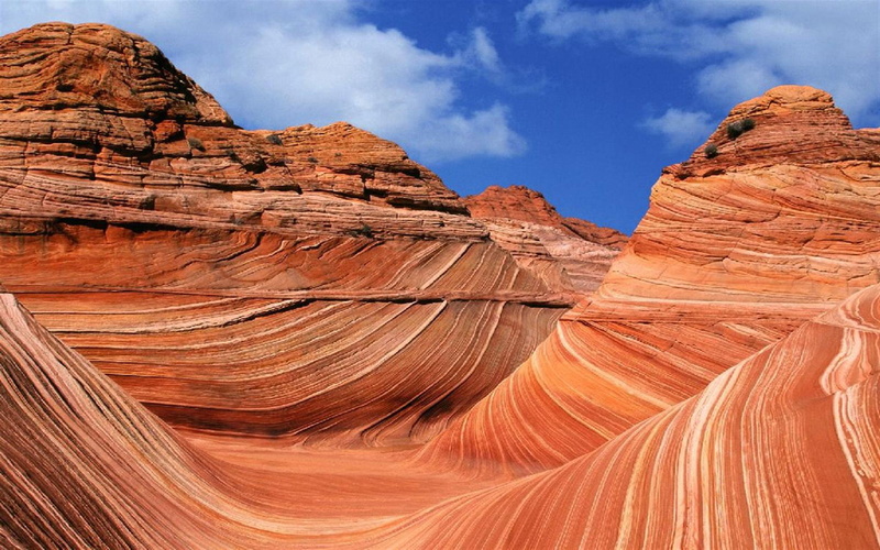 coyote, hd, rock, usa, formation, north, buttes, wave, utah, 1080P