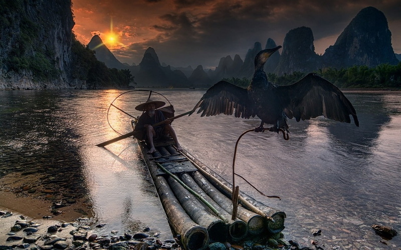 fisherman, river, 480P, Guilin, China, clouds, mountains, boat, landscape, birds, cormorant, forest, sunset, nature, sky