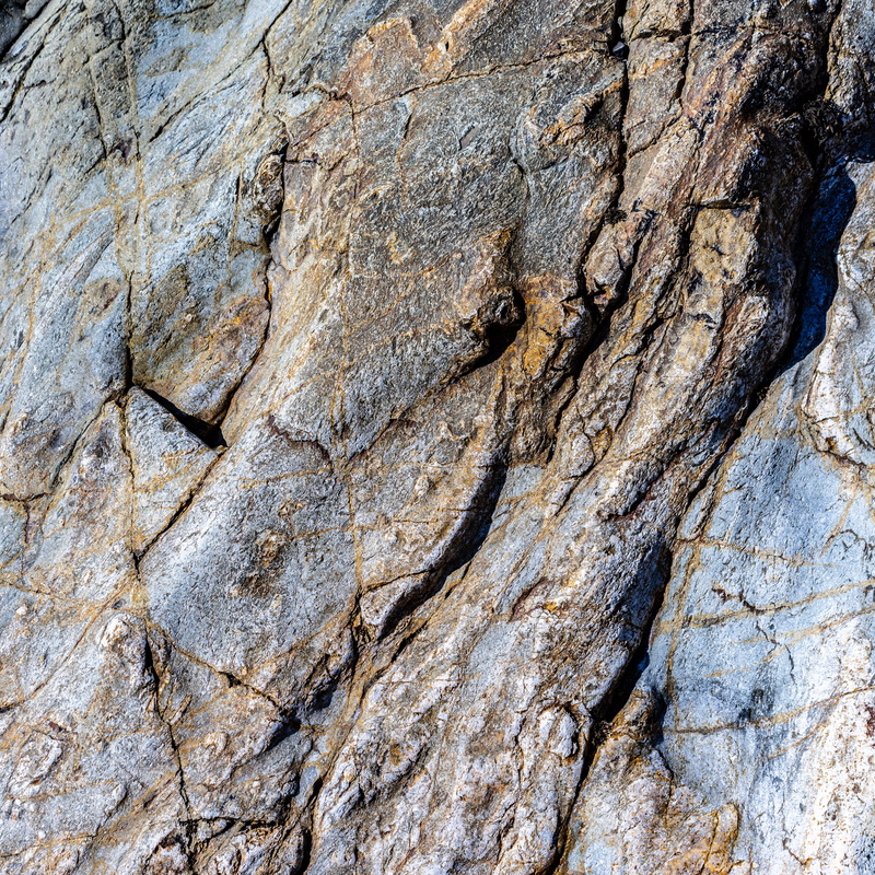 solid, granite, eroded, cliff, tree, rough, tree trunk, outdoors, day, textured, animal, arid climate, no people, tar, geology, limestone, textured effect