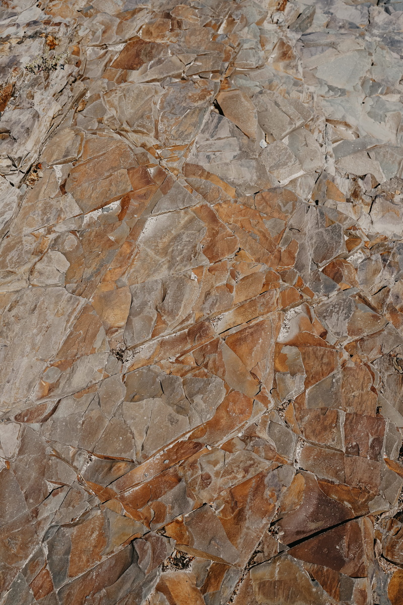 marble, clean, beauty in nature, flooring, texture, no people, face, cricket insect, animal, photo, portrait, textured, outdoors, frame, backgrounds, gray