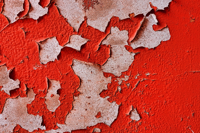 full frame, tree, fossil, no people, veins, wall - building feature, rust, stain, droplet, backgrounds, textured, old, day, invertebrate, wall, maple leaf