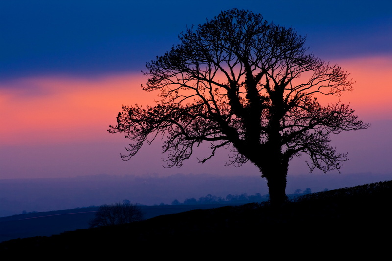 outdoors, branches, UK, Angleterre, tree, nature, Winters, Valley, blue, Yorkshire Dales, England, hills, mist, clouds, nuit, Newby, silhouette, night