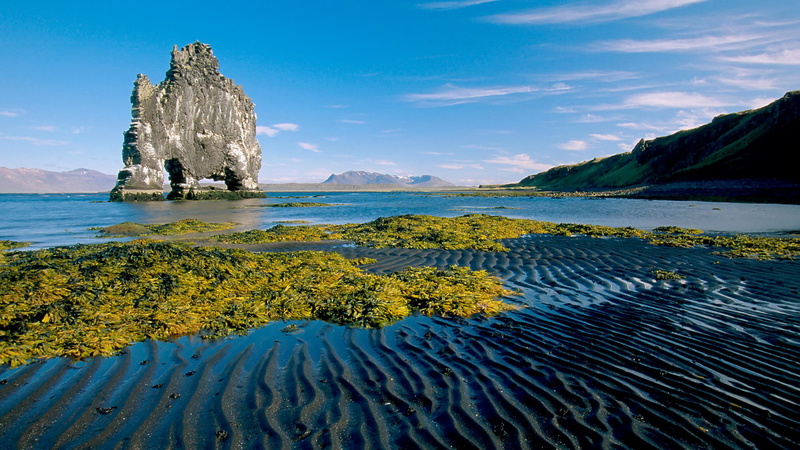 indication, coast, greener, 1080P, hd, k, grass, iceland, nature, ultra, sea, beach