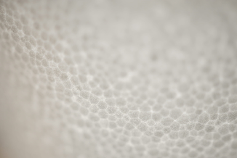 mold, texture, selective focus, towel, white color, stain, hip, textile, page, navel, text, macro, canvas, food, full frame, honeycomb, backgrounds, foam